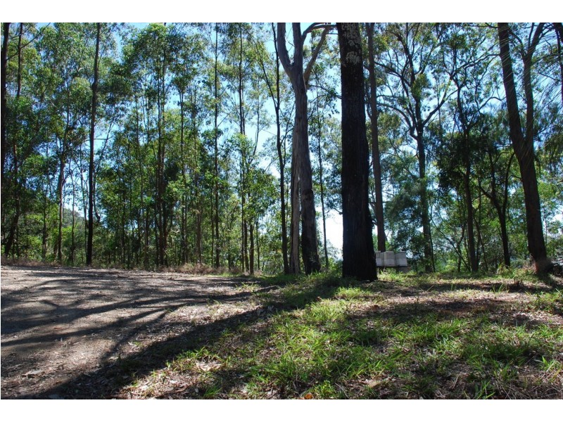 206 RIPPS ROAD, Stokers Siding NSW 2484