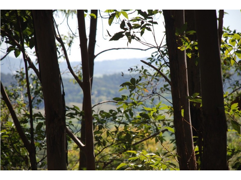 206 RIPPS ROAD, Stokers Siding NSW 2484