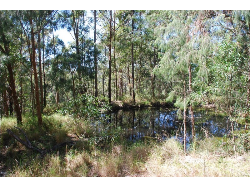 206 RIPPS ROAD, Stokers Siding NSW 2484