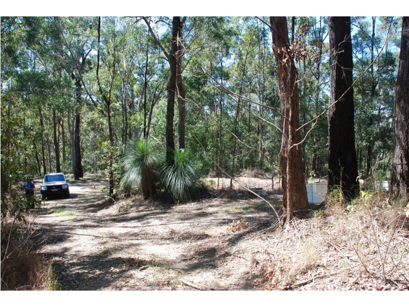 206 RIPPS ROAD, Stokers Siding NSW 2484