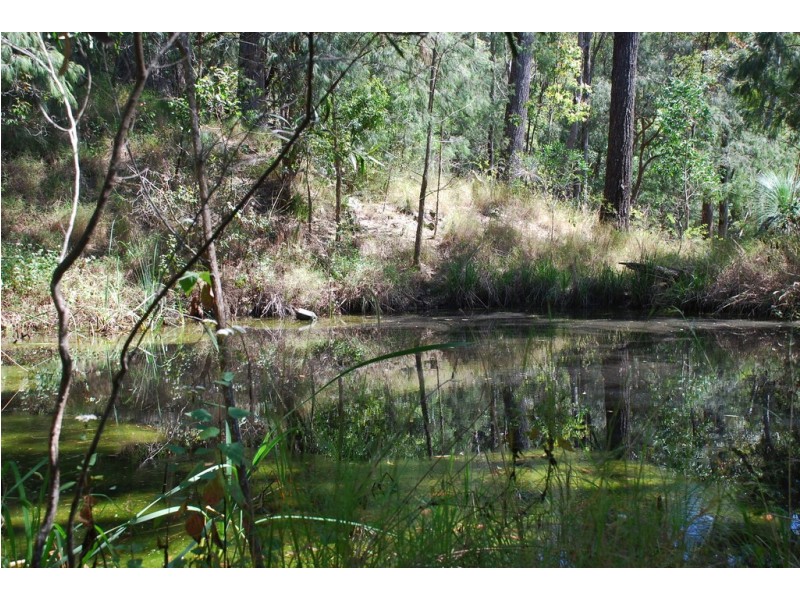 206 RIPPS ROAD, Stokers Siding NSW 2484