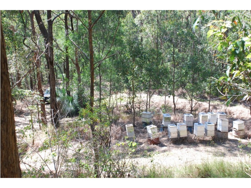 206 RIPPS ROAD, Stokers Siding NSW 2484