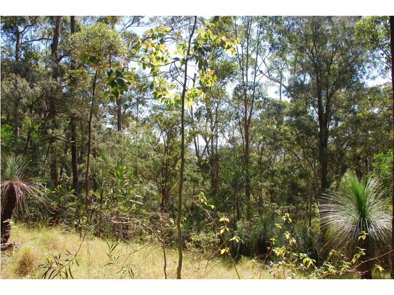 206 RIPPS ROAD, Stokers Siding NSW 2484