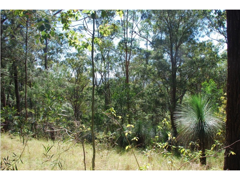 206 RIPPS ROAD, Stokers Siding NSW 2484