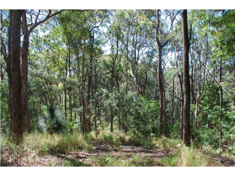 206 RIPPS ROAD, Stokers Siding NSW 2484