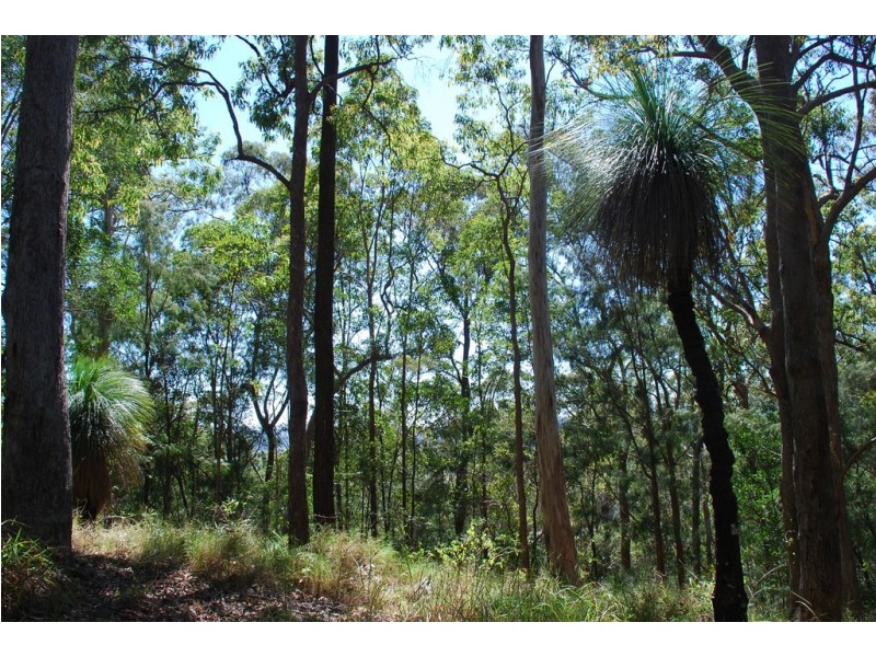 206 RIPPS ROAD, Stokers Siding NSW 2484