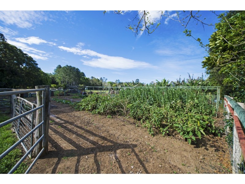 Chillingham NSW 2484