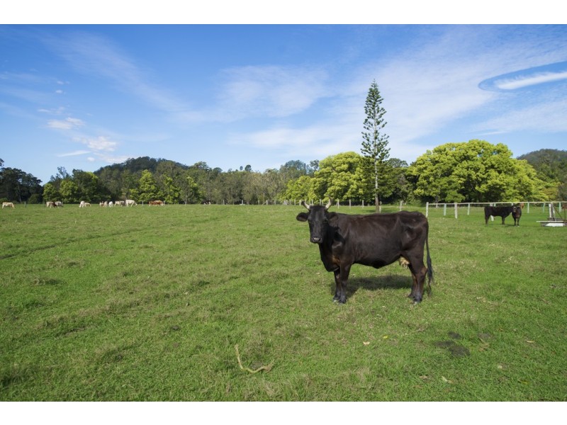 Chillingham NSW 2484