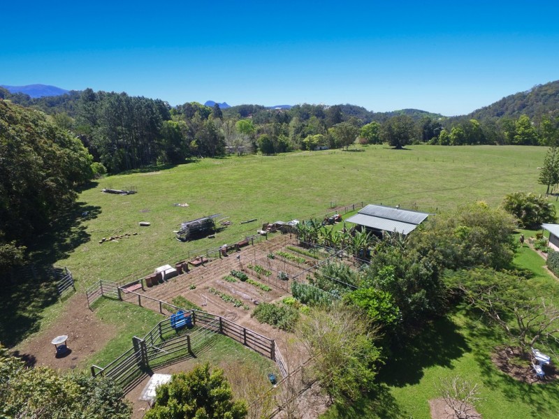 Chillingham NSW 2484