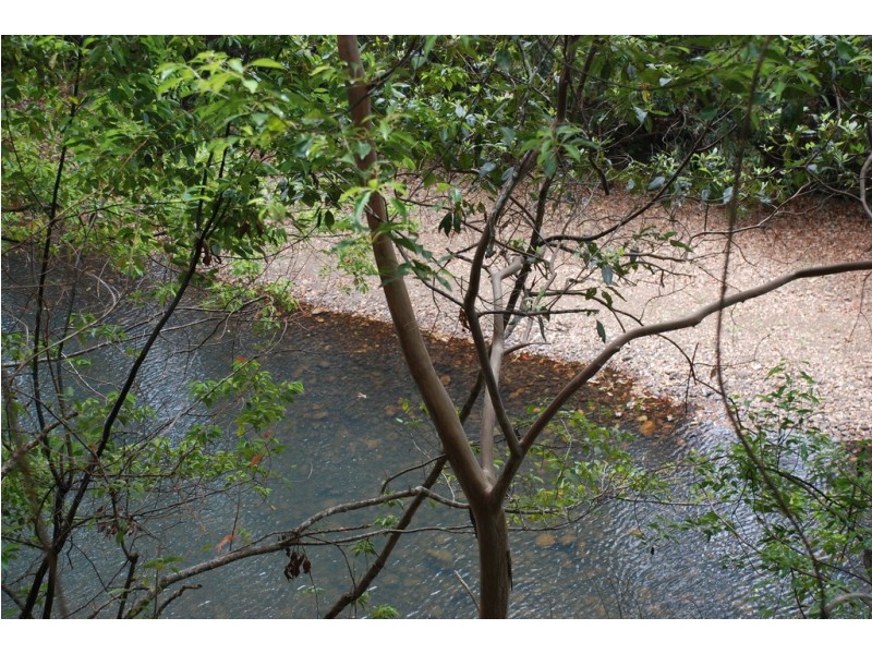 Lot 2 BEANTREE ROAD, Chillingham NSW 2484