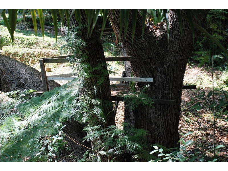 1417 Kyogle Road, Uki NSW 2484