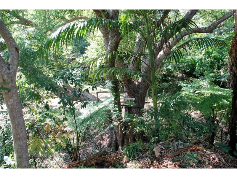 1417 Kyogle Road, Uki NSW 2484