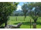 436 Tyalgum Road, Eungella NSW 2484