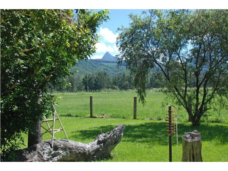 436 Tyalgum Road, Eungella NSW 2484