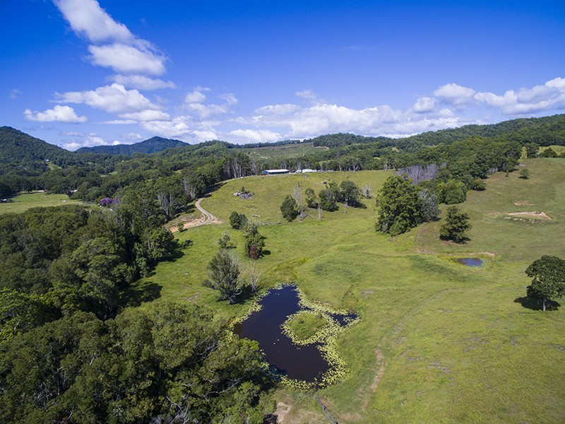 889 Smiths Creek Road, Stokers Siding NSW 2484
