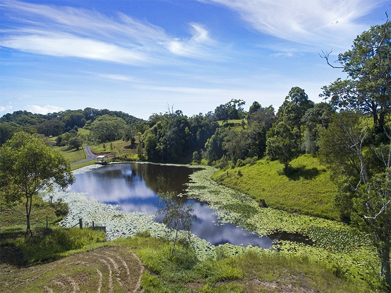 889 Smiths Creek Road, Stokers Siding NSW 2484