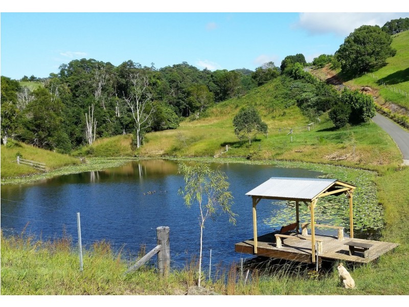 889 Smiths Creek Road, Stokers Siding NSW 2484