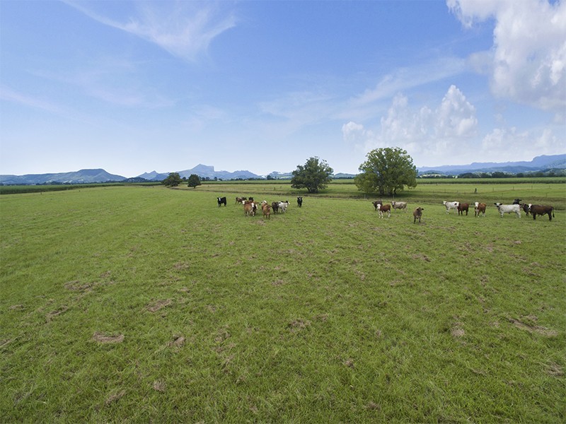 1 Quans Lane, Tygalgah NSW 2484