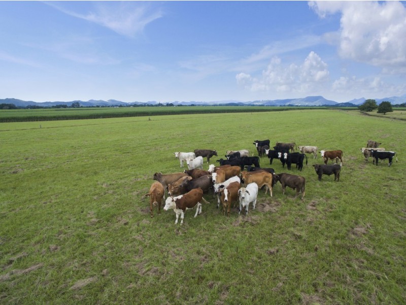 1 Quans Lane, Tygalgah NSW 2484