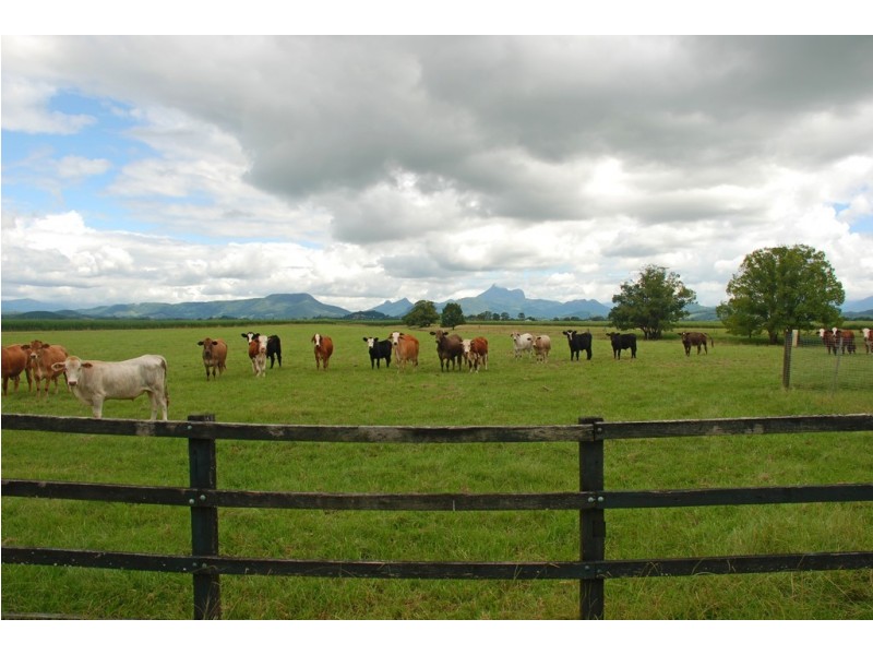 1 Quans Lane, Tygalgah NSW 2484