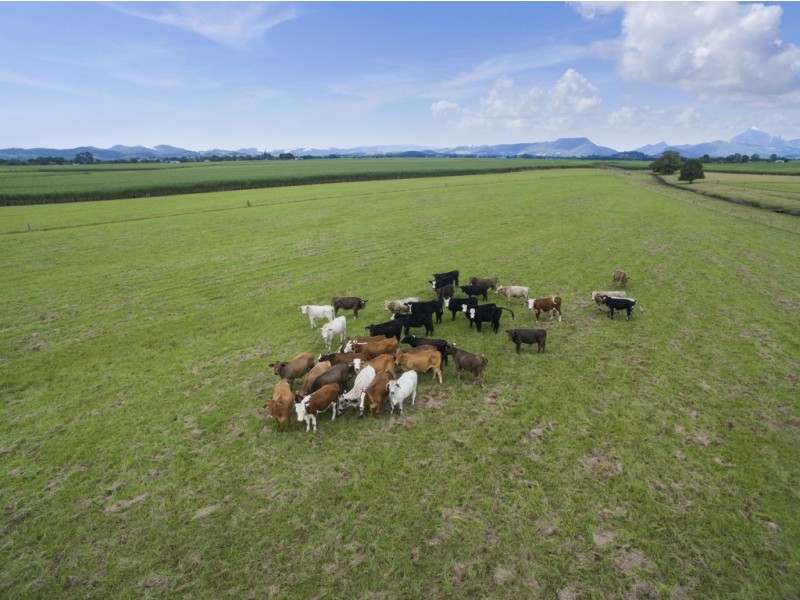 1 Quans Lane, Tygalgah NSW 2484