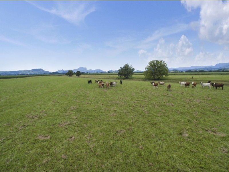 1 Quans Lane, Tygalgah NSW 2484