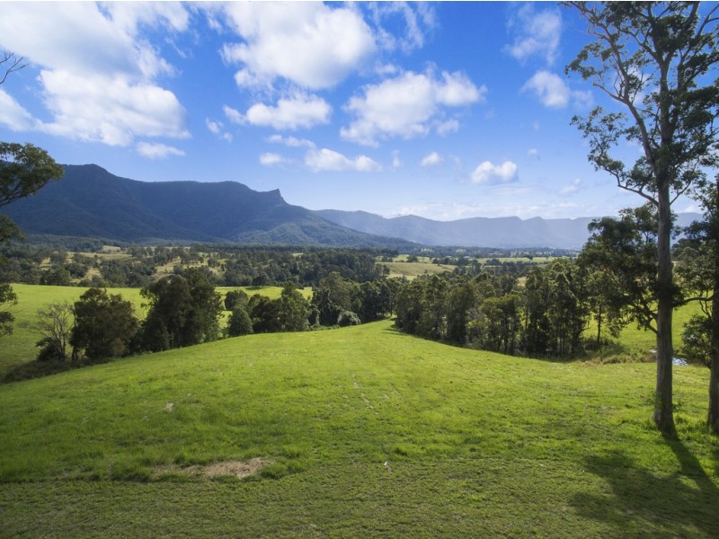1010 BRAYS CREEK ROAD, Tyalgum NSW 2484