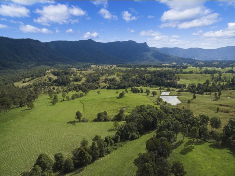 1010 BRAYS CREEK ROAD, Tyalgum NSW 2484