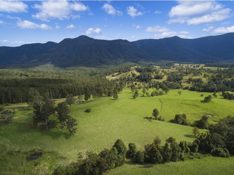 1010 BRAYS CREEK ROAD, Tyalgum NSW 2484