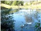 Tyalgum NSW 2484