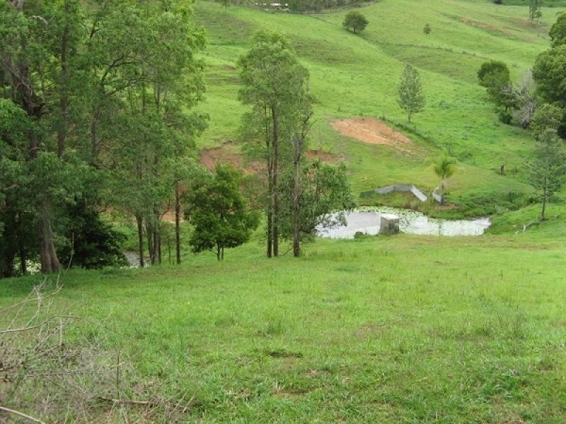 Tyalgum NSW 2484