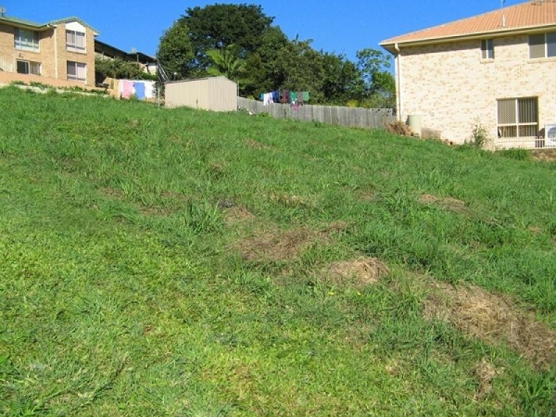 Murwillumbah NSW 2484