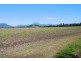Murwillumbah NSW 2484