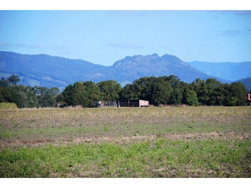 Murwillumbah NSW 2484