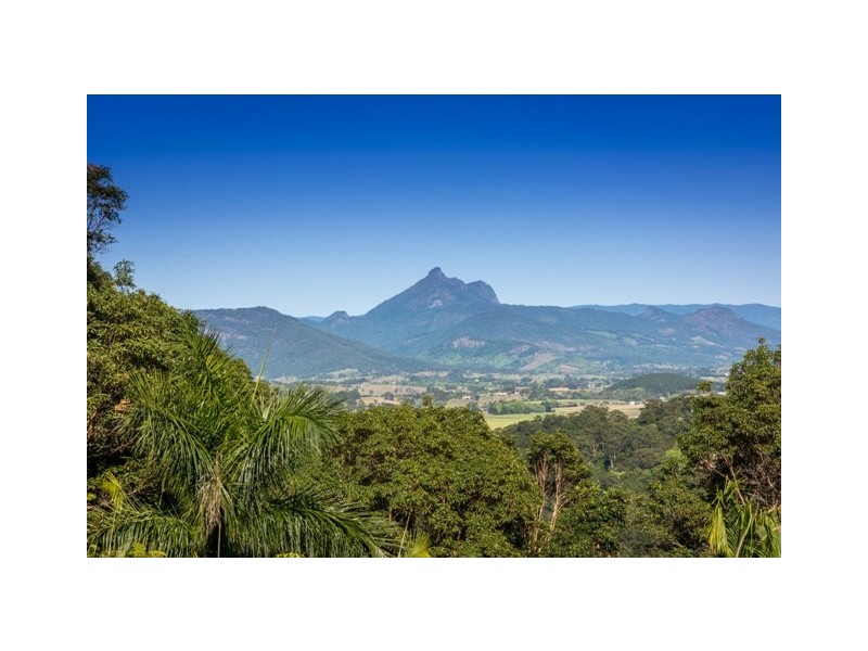 Farrants Hill NSW 2484