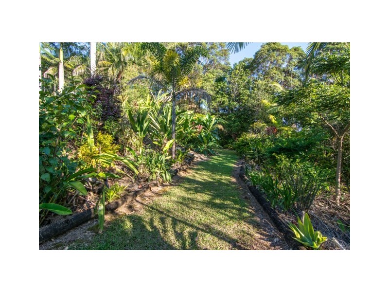 Farrants Hill NSW 2484