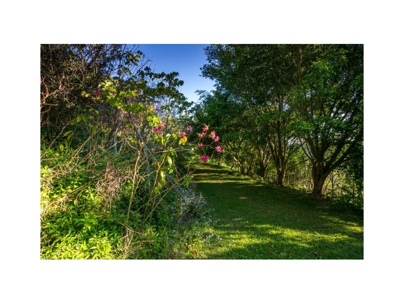 Farrants Hill NSW 2484