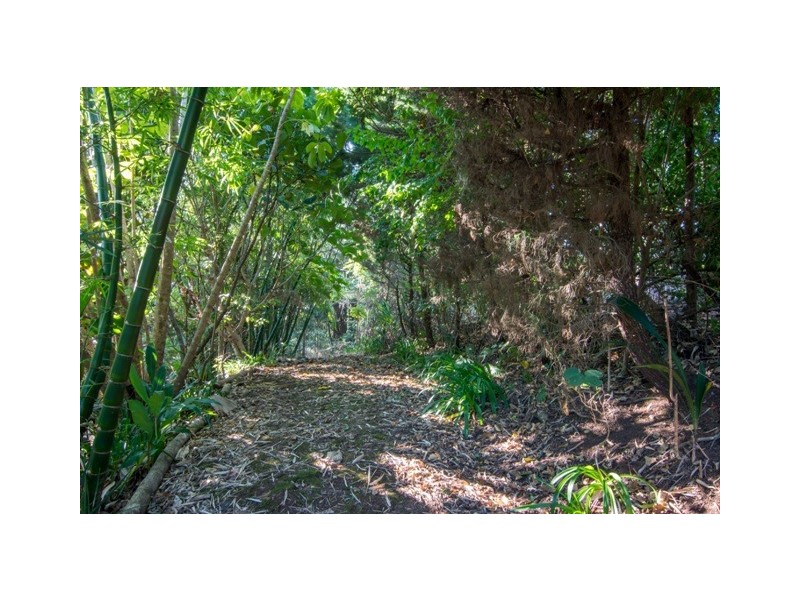 Farrants Hill NSW 2484