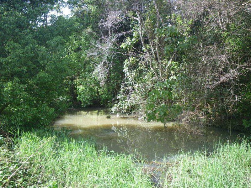 Farrants Hill NSW 2484