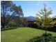 Crystal Creek NSW 2484