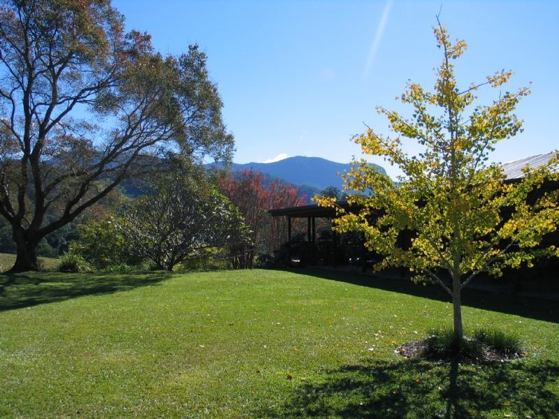 Crystal Creek NSW 2484
