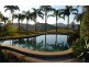 Crystal Creek NSW 2484
