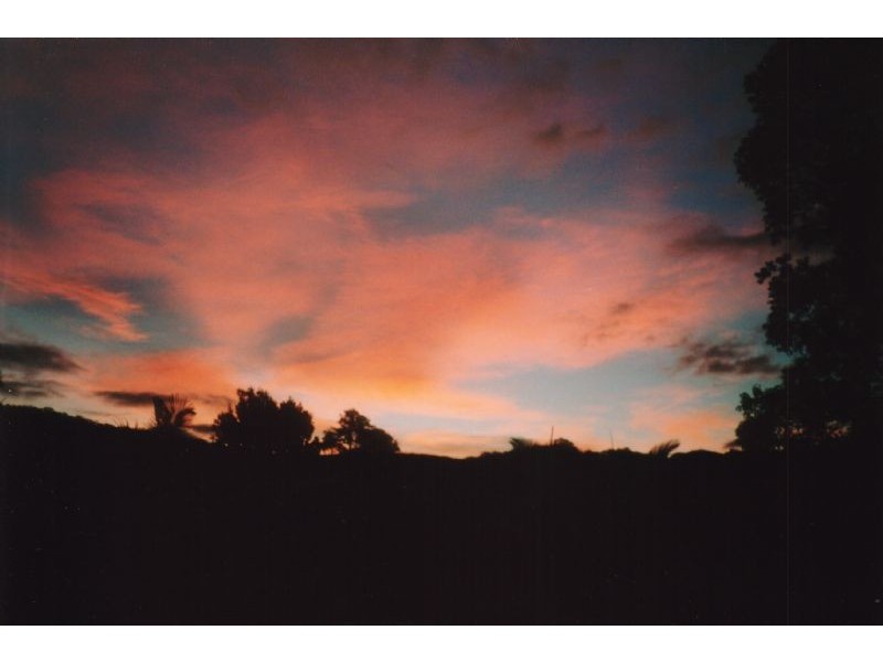 Crystal Creek NSW 2484