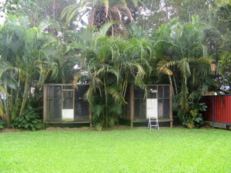 Murwillumbah NSW 2484