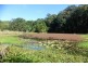 Crystal Creek NSW 2484