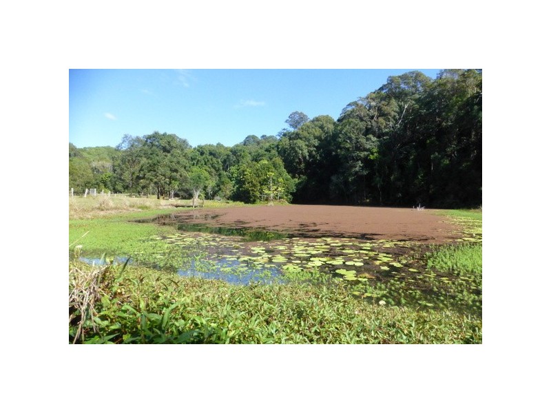 Crystal Creek NSW 2484