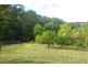 Crystal Creek NSW 2484