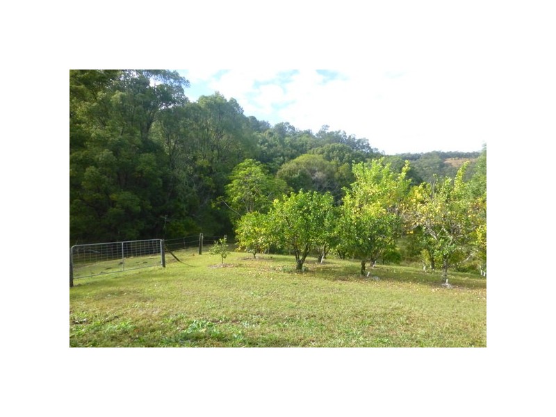 Crystal Creek NSW 2484
