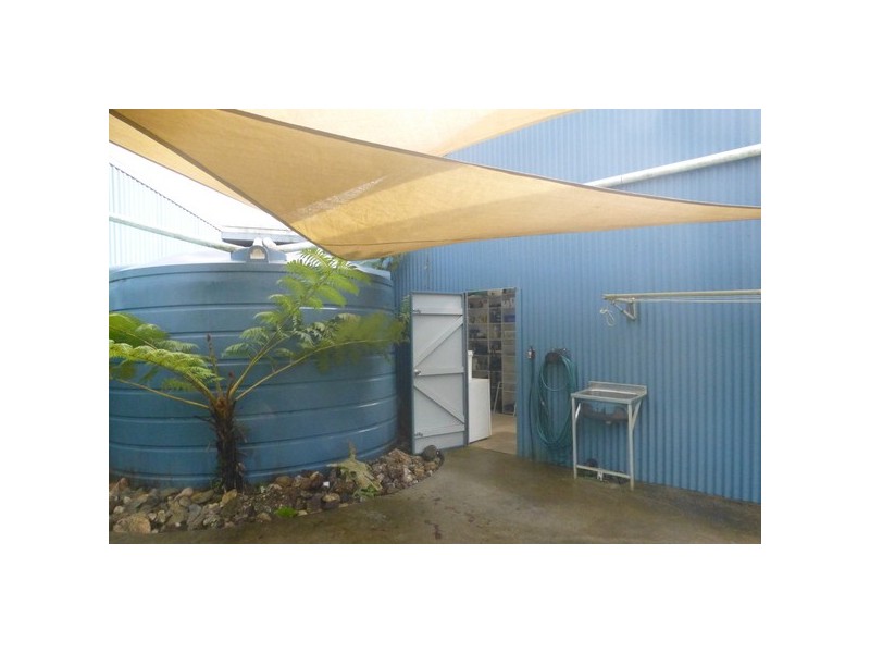 Crystal Creek NSW 2484