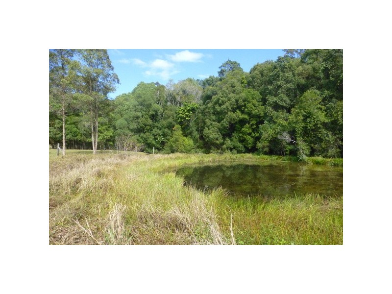 Crystal Creek NSW 2484